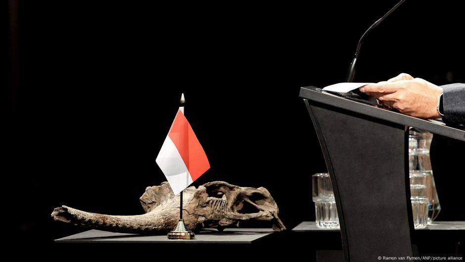 Netherlands to return ‘Java Man’ fossils to Indonesia – DW – 09/26/2025